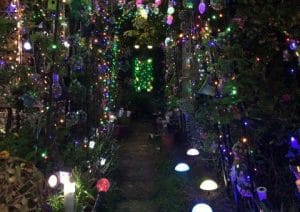 A photograph of Andrea Connor's Night Garden from the Peterborough Telegraph article, showing stunning multi-coloured fairy lights shaped like flowers, mushrooms, insects and more.