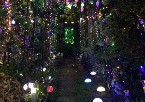 A photograph of Andrea Connor's Night Garden from the Peterborough Telegraph article, showing stunning multi-coloured fairy lights shaped like flowers, mushrooms, insects and more.