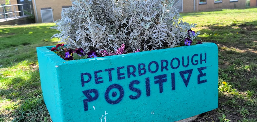 An image of one of thirty-seven planters designed for Peterborough Positive around the city.